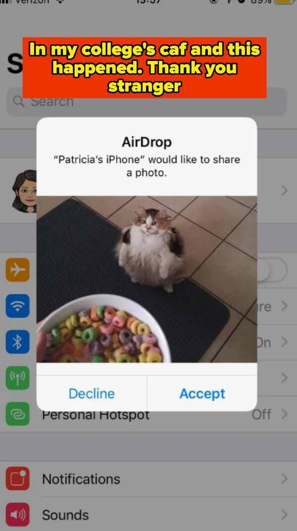 Funny Photos Guaranteed To Make Even The Most Hopeless Smile