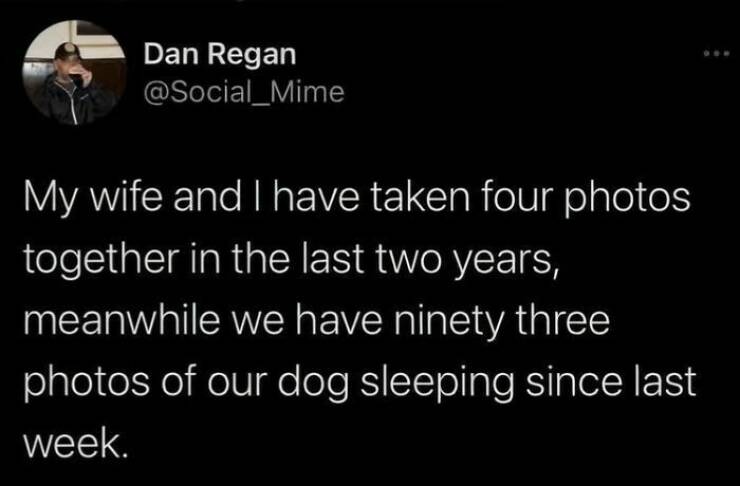 Hilarious Dog Memes to Brighten Your Weary Day