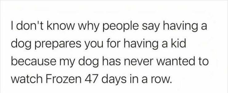 Hilarious Dog Memes to Brighten Your Weary Day