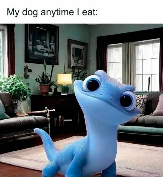 Hilarious Dog Memes to Brighten Your Weary Day