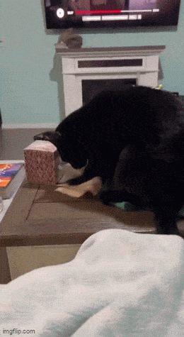 Daily Gifdump Daily Gifdump