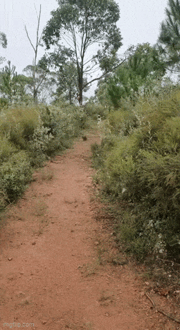 Daily Gifdump Daily Gifdump