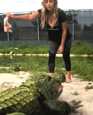 GIFs That Are Absolutely Awesome