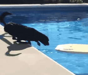 GIFs That Are Absolutely Awesome