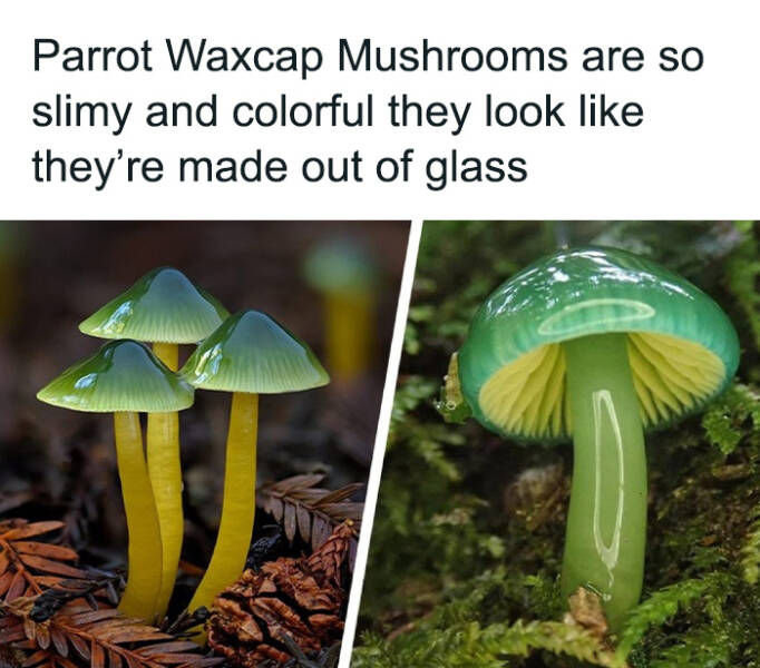 Captivating And Stunning Images That Wow