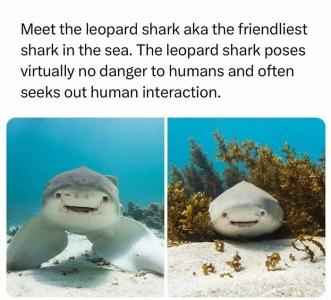 Captivating And Stunning Images That Wow