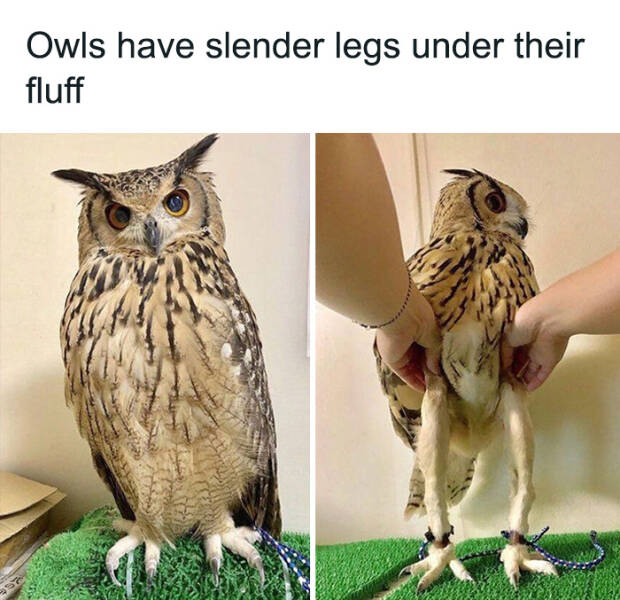 Captivating And Stunning Images That Wow