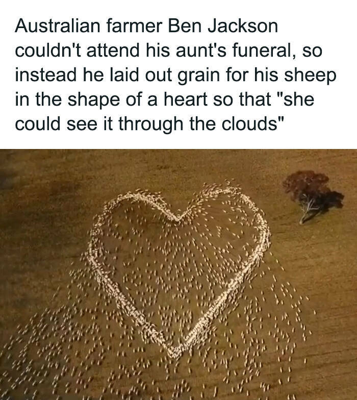 Captivating And Stunning Images That Wow