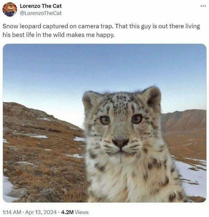 Captivating And Stunning Images That Wow