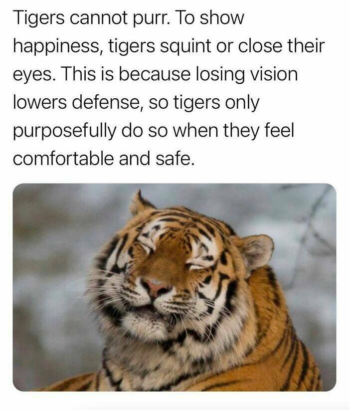 Captivating And Stunning Images That Wow