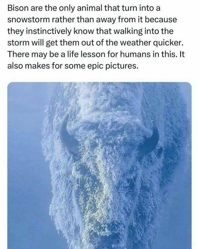 Captivating And Stunning Images That Wow