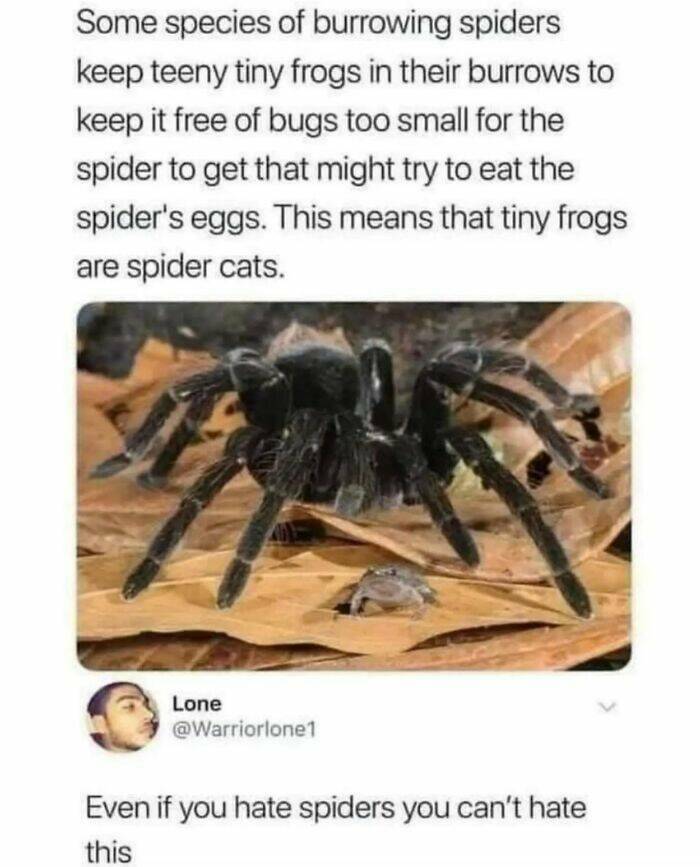 Captivating And Stunning Images That Wow