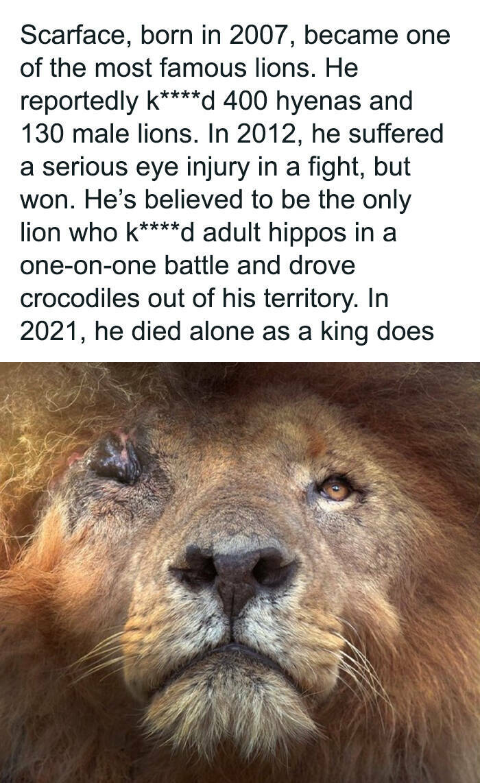 Captivating And Stunning Images That Wow