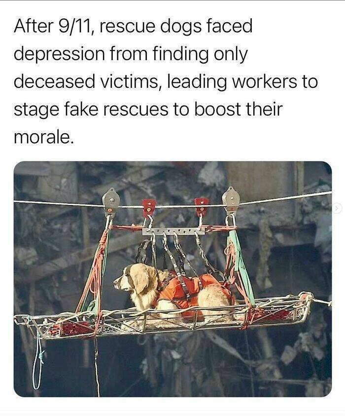 Captivating And Stunning Images That Wow