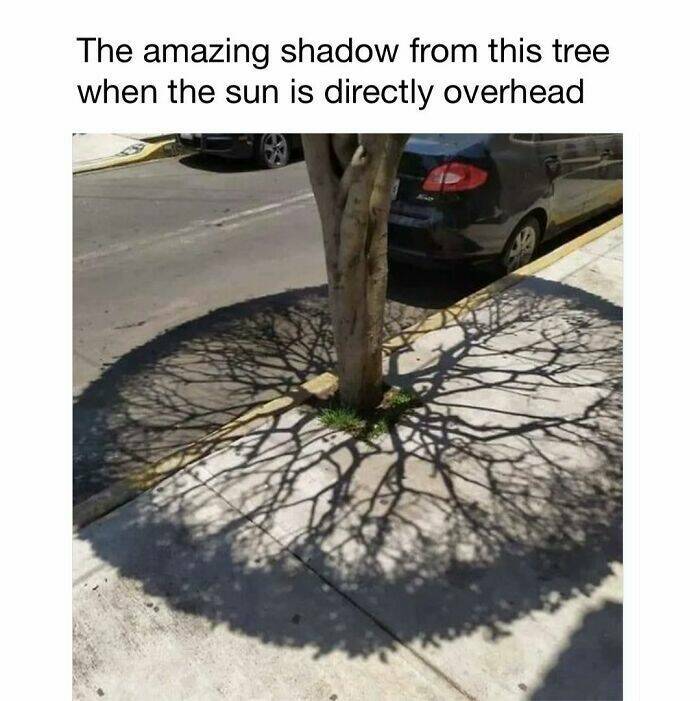 Captivating And Stunning Images That Wow