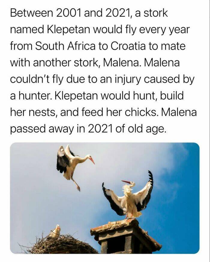 Captivating And Stunning Images That Wow