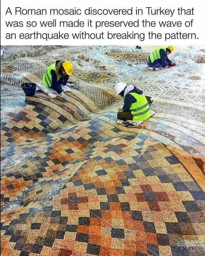 Captivating And Stunning Images That Wow