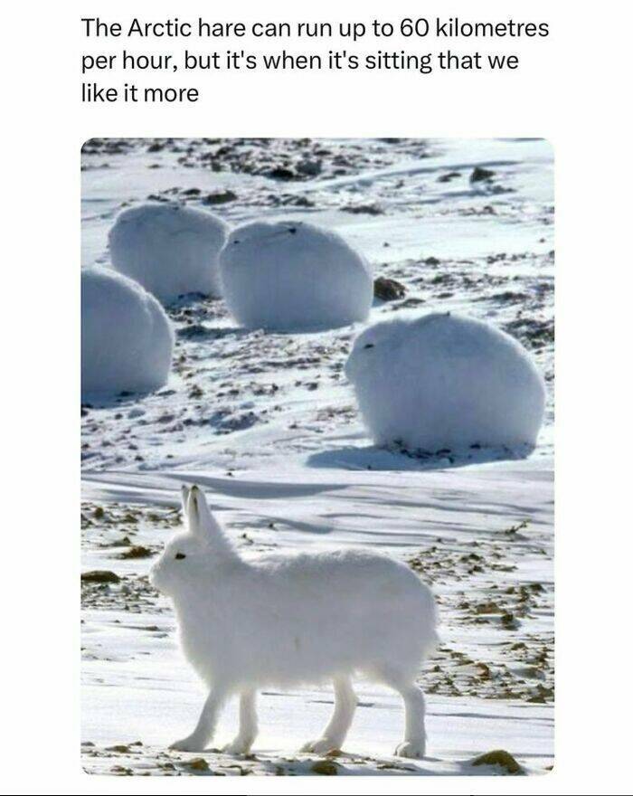 Captivating And Stunning Images That Wow