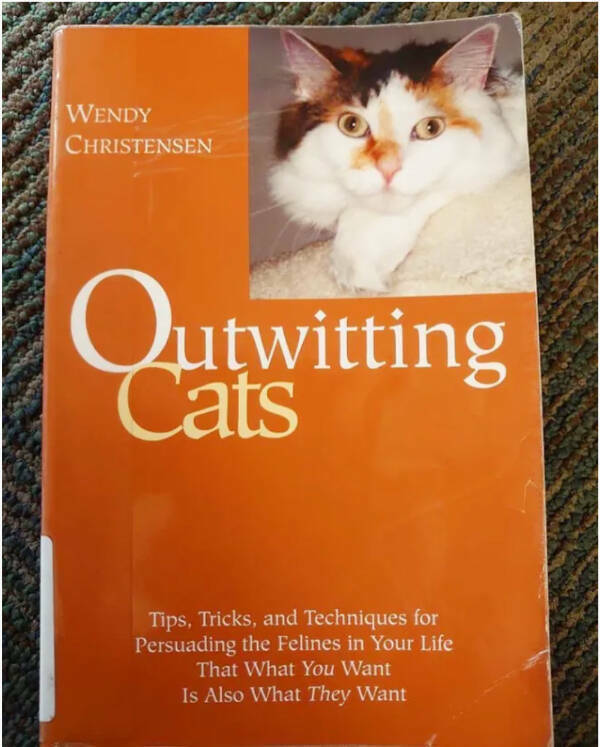 Every Day Feels Better With A Cat