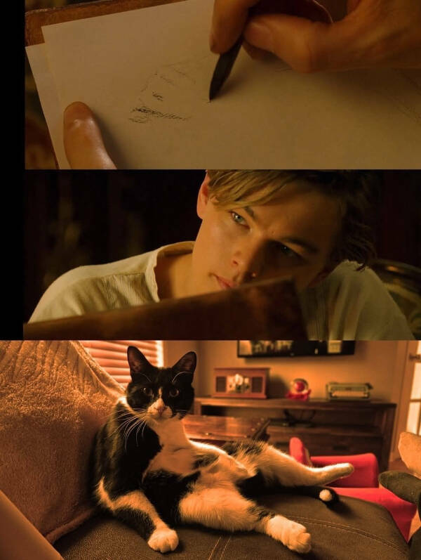 Every Day Feels Better With A Cat