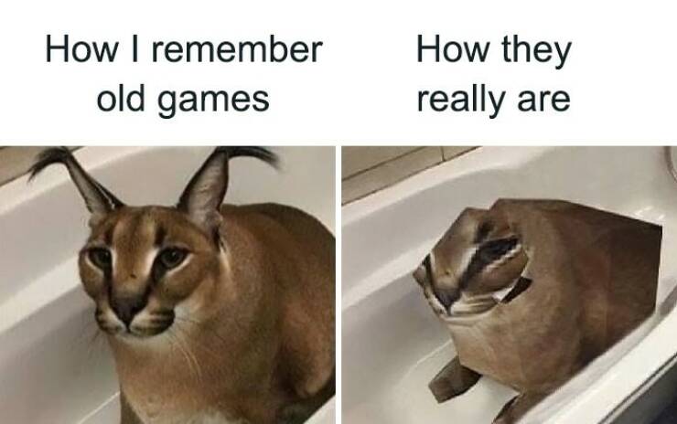 Memes Only Gen Z Will Understand