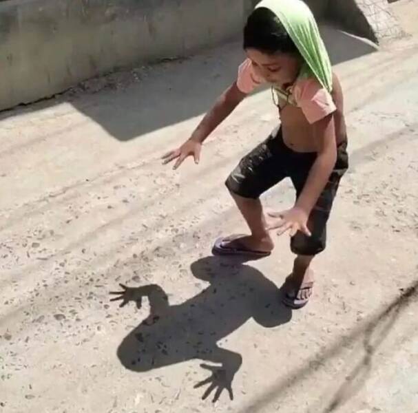 Snapshots From The Internet’s Favorite Weirdness Hub