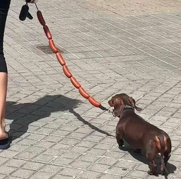 Snapshots From The Internet’s Favorite Weirdness Hub