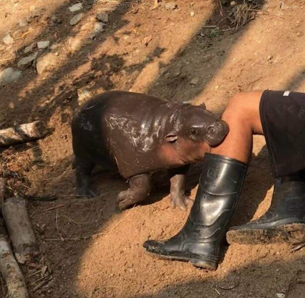 Snapshots From The Internet’s Favorite Weirdness Hub