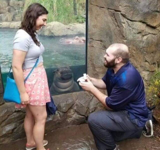 Snapshots From The Internet’s Favorite Weirdness Hub