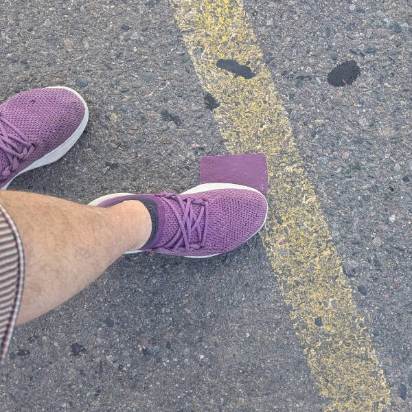 Curiously Interesting Things You Didnt Know Youd Enjoy