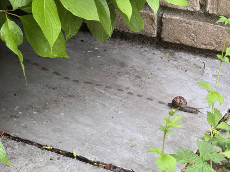 Curiously Interesting Things You Didnt Know Youd Enjoy