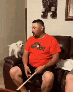 Daily Gifdump Daily Gifdump