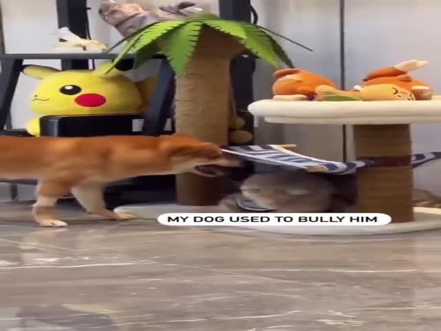 Sweet Revenge