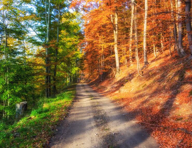 Jaw-Dropping Photos You Won’t Believe Are 100% Real