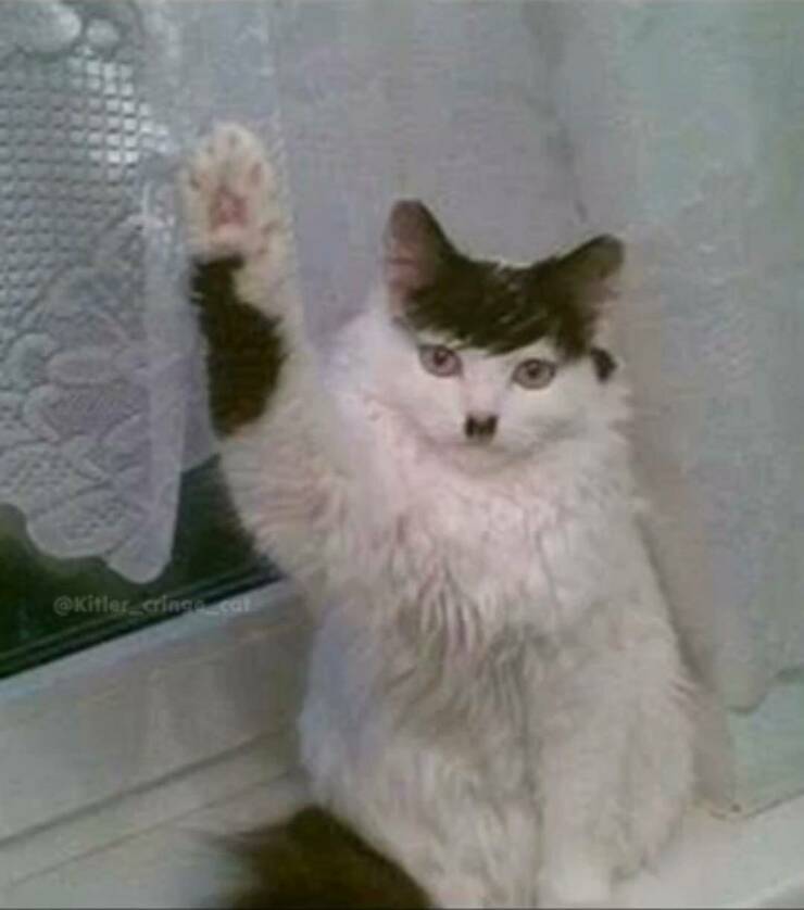 Morning Picdump Morning Picdump