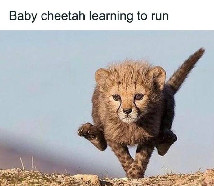 Photos That’ll Brighten Your Day And Your Brain