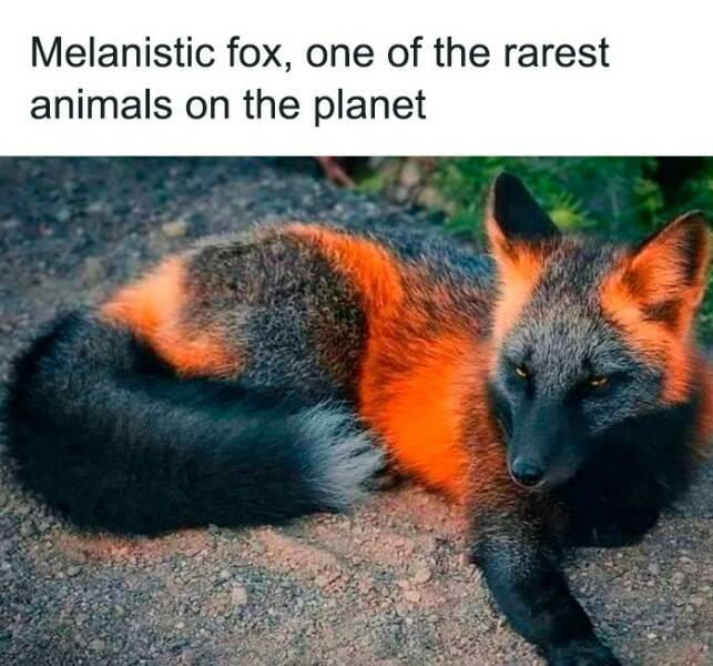 Photos That’ll Brighten Your Day And Your Brain