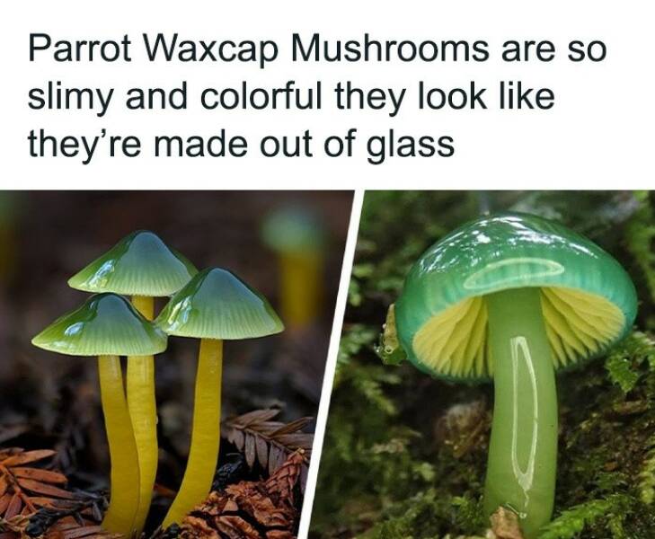 Photos That’ll Brighten Your Day And Your Brain