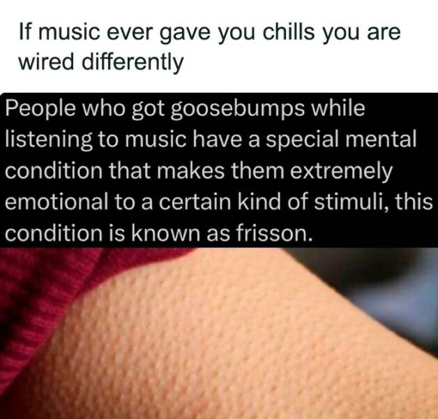 Photos That’ll Brighten Your Day And Your Brain