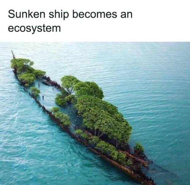 Photos That’ll Brighten Your Day And Your Brain