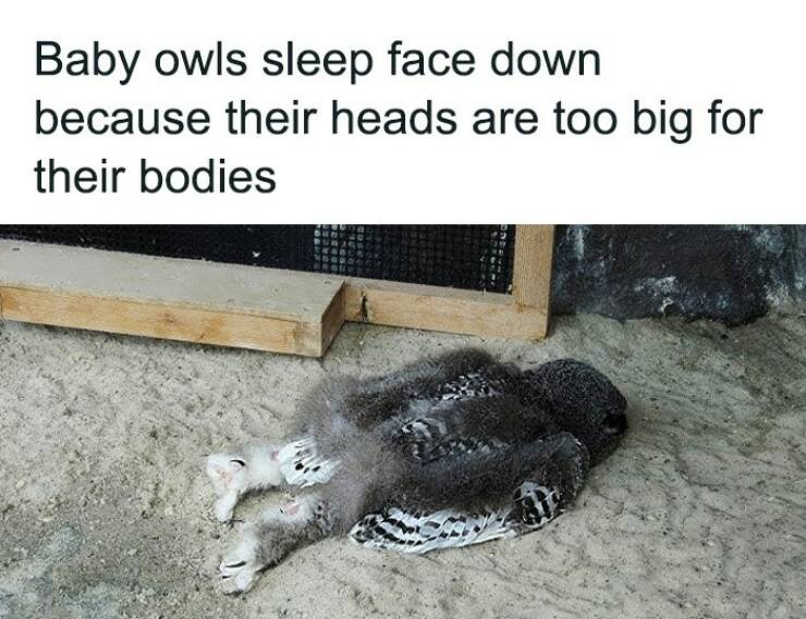 Photos That’ll Brighten Your Day And Your Brain