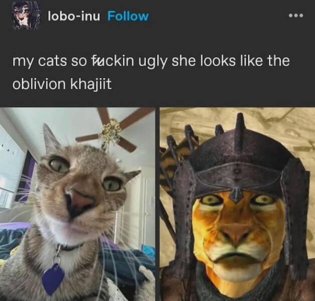 When Insults Go From Petty To Poetry