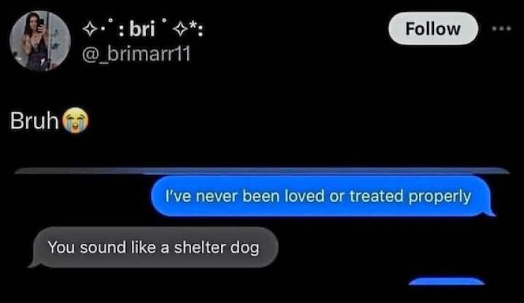 When Insults Go From Petty To Poetry