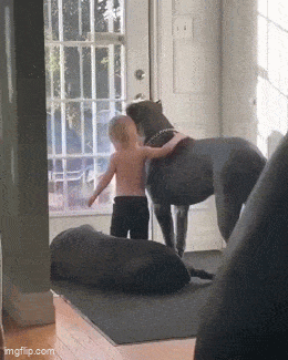 Daily Gifdump Daily Gifdump