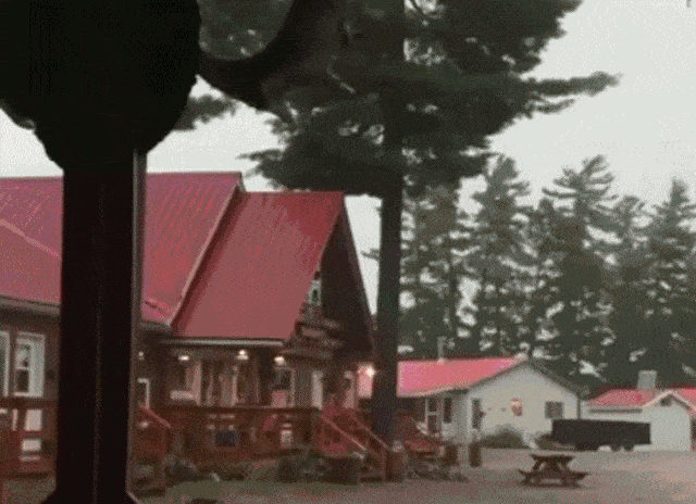 Daily Gifdump Daily Gifdump