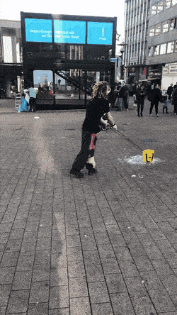 Daily Gifdump Daily Gifdump