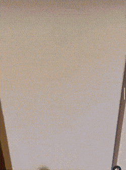 Daily Gifdump Daily Gifdump