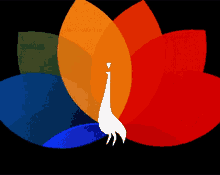 Insane Facts You Won’t Believe Are True