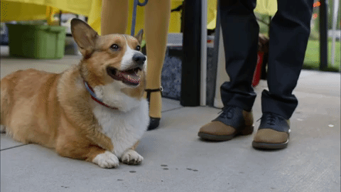 Insane Facts You Won’t Believe Are True