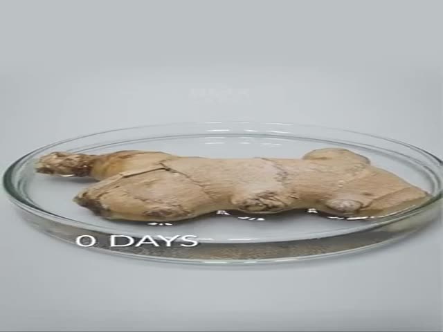 The Power Of Living Nature